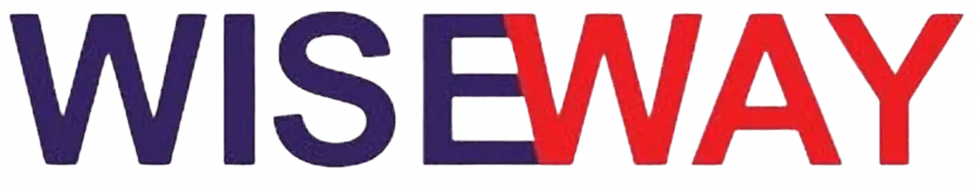 wise way logo