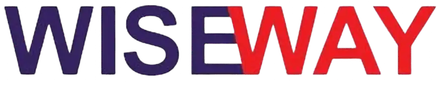 wise way logo